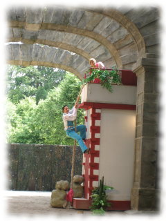 the prince climbs the tower